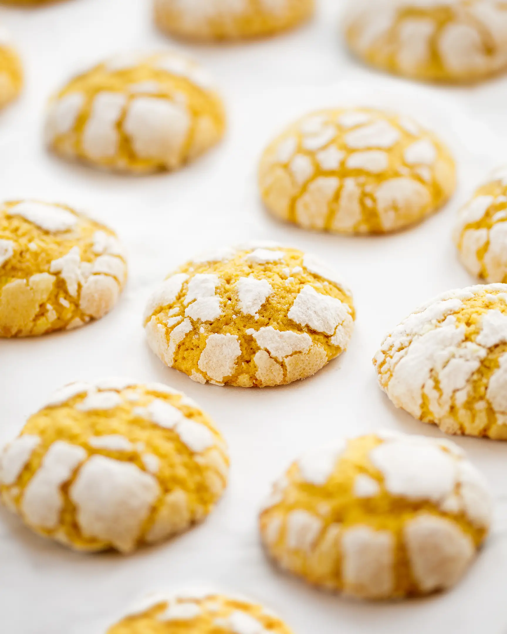 Bright yellow cookies. Bright yellow cookies sprinkled with powdered sugar lie on baking paper in rows.