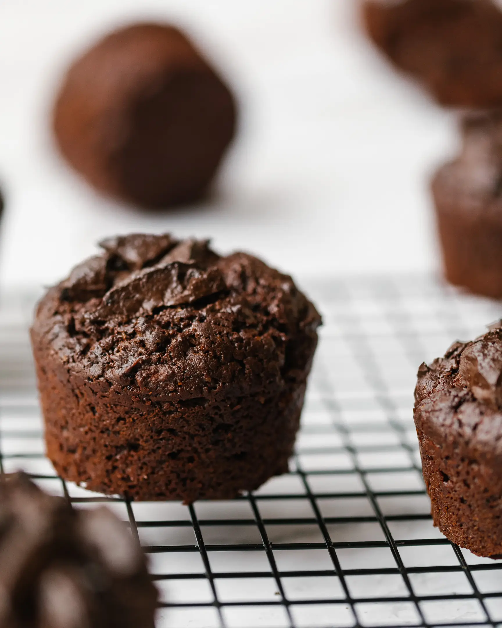 The chocolate-apple cupcake.  There are chocolate cupcakes on the baking rack. They show pieces of chocolate and crystals of salt with which they are decorated.