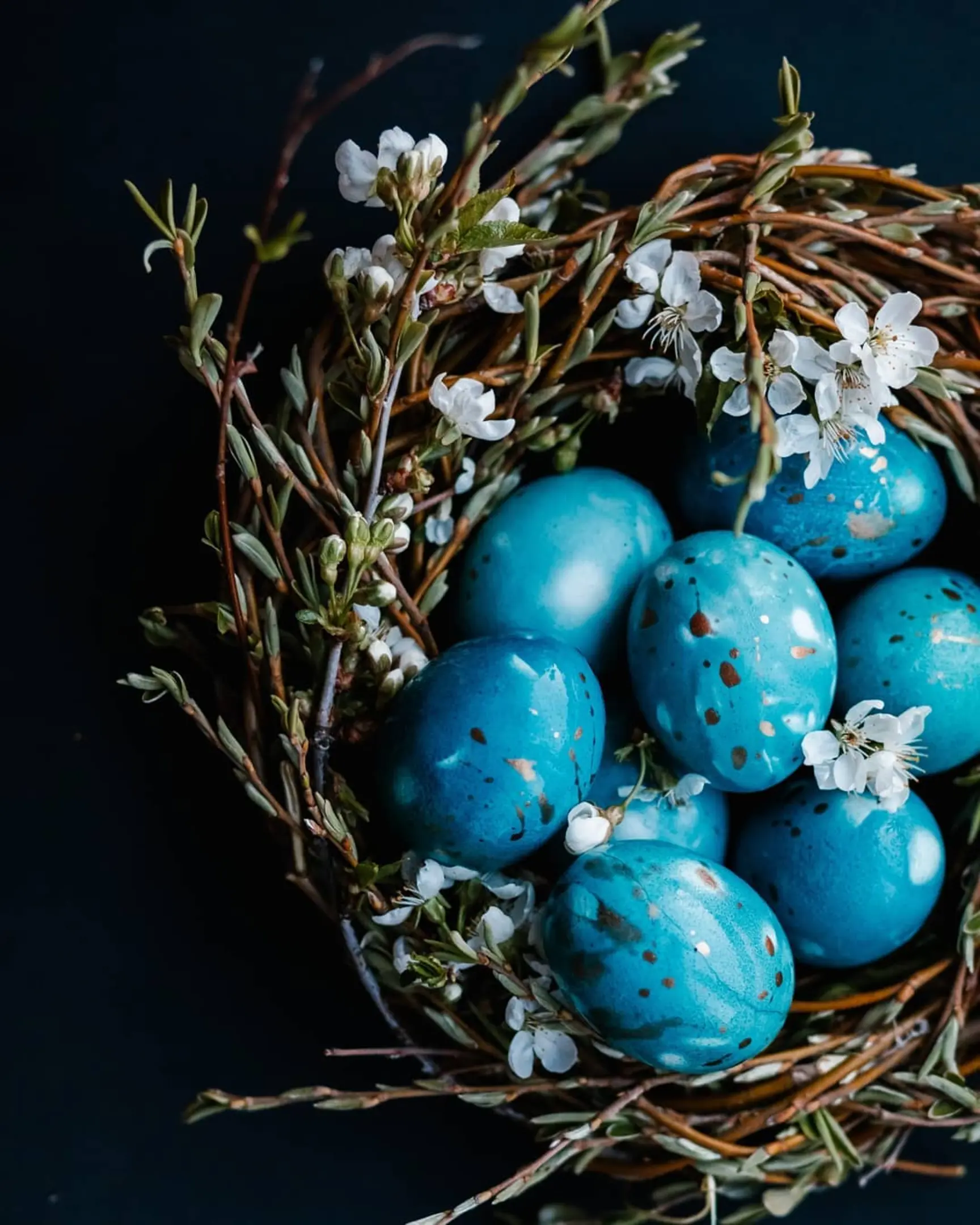 Яйца със сини петна лежат в гнездо с цветя на тъмния фон. Яйца със сини петна лежат в гнездо с цветя. На преден план се виждат клони с цветя. Гнездото е на тъмен фон.