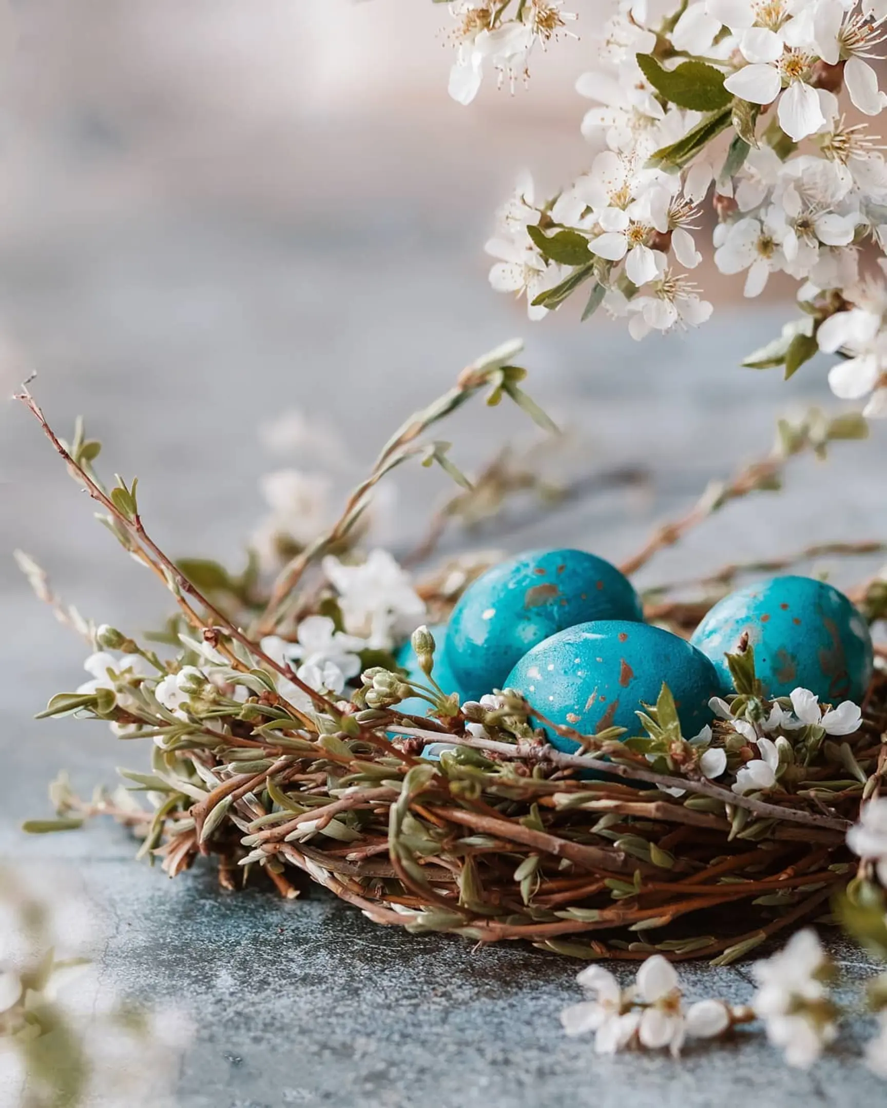 Side view on eggs. Blue-speckled eggs lie in a nest with flowers. Branches with flowers are visible in the foreground. The nest is on a gray-blue concrete background. Side view