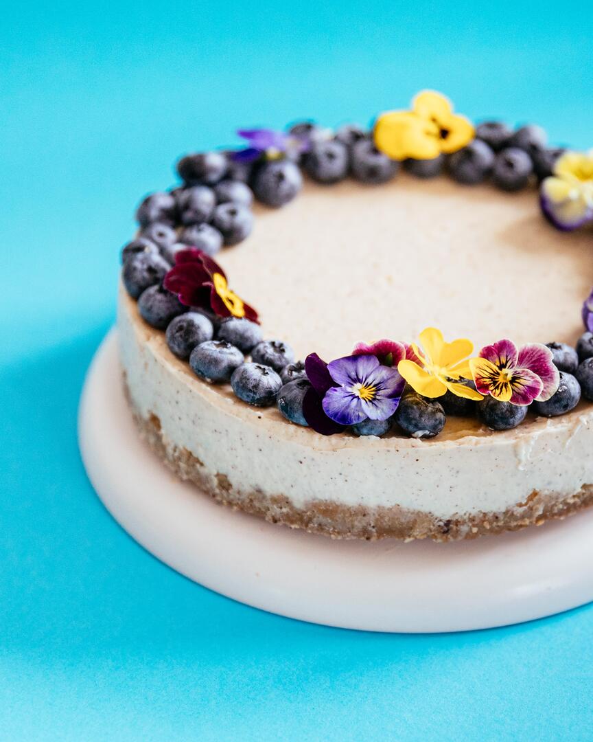 Cheesecake stands on a blue background.  Cheesecake stands on a blue background. It is decorated with edible flowers and blueberries.