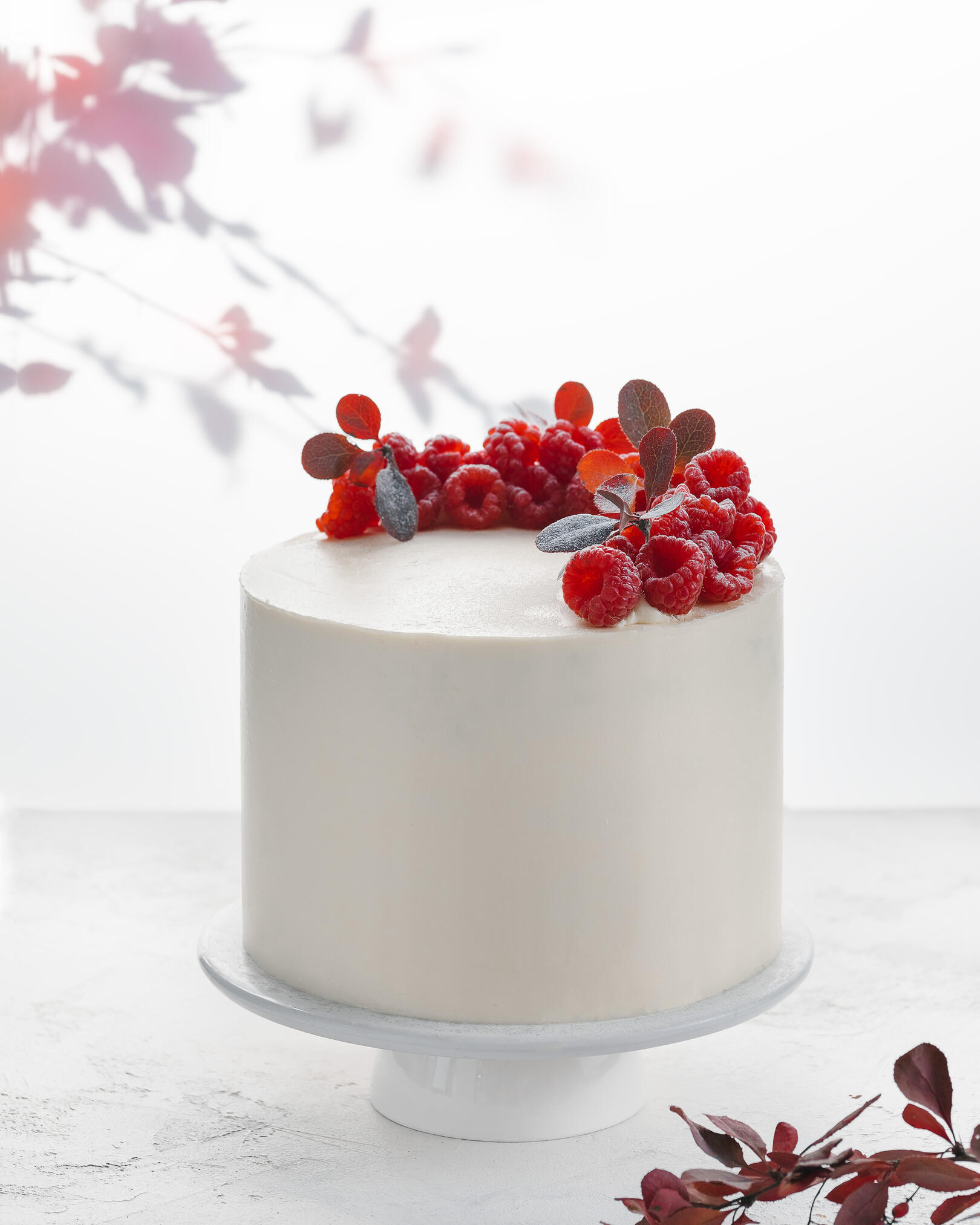 White cake decorated with berries. White cake decorated with berries. He stands on a light table. Behind, the leaves of a red plant shine through the background. The same plant lies in the foreground - creating lines in the frame.